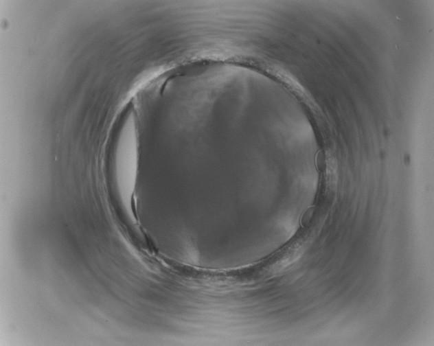 X0000085840626200704132104