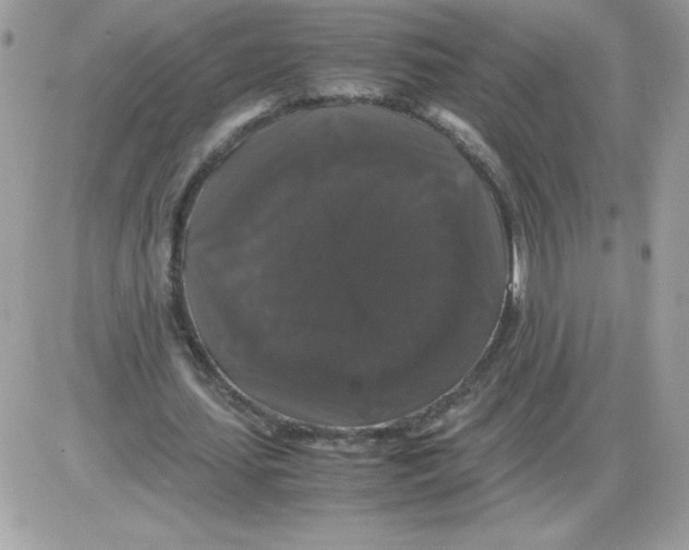 X0000085840627200704132104