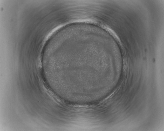 X0000085840628200704132104