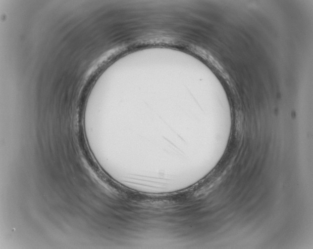 X0000085840629200704132104