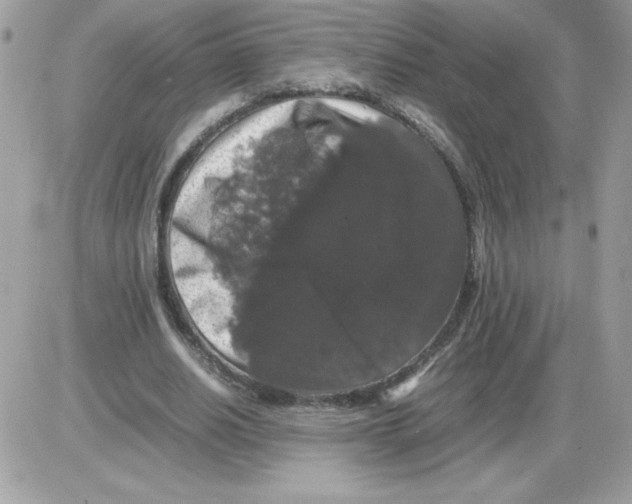 X0000085840630200704132104