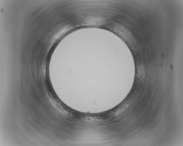 X0000085840632200704132104