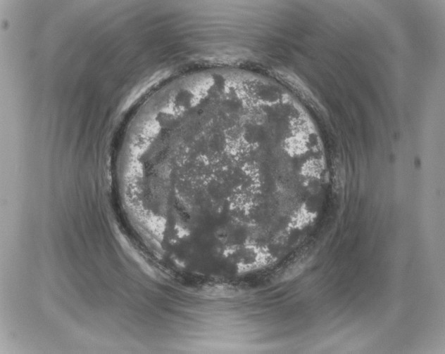 X0000085840634200704132104