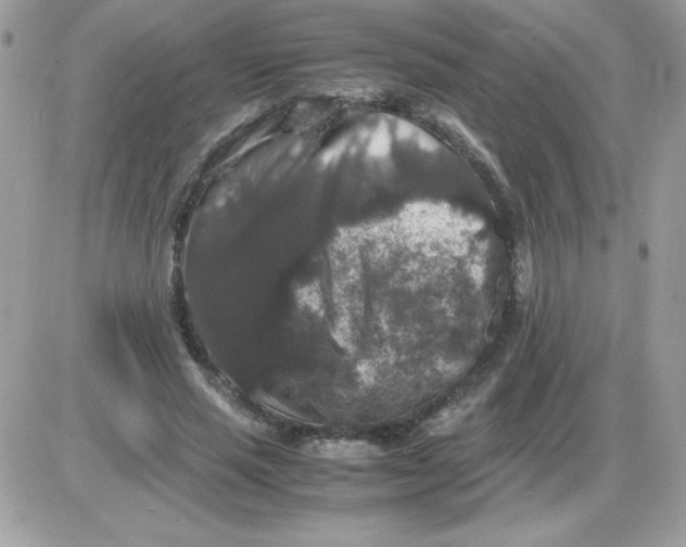 X0000085840637200704132104