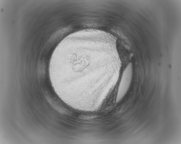 X0000085840639200704132104