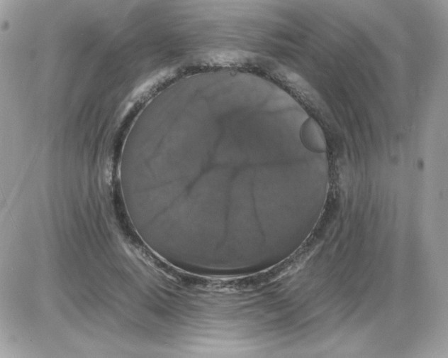 X0000085840640200704132104