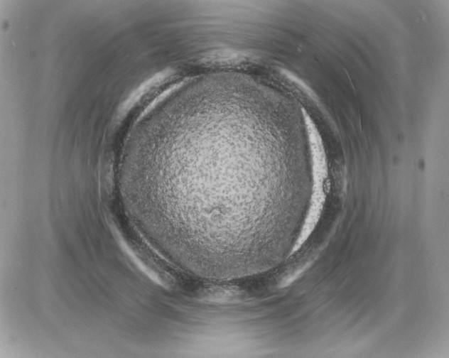 X0000085840642200704132104