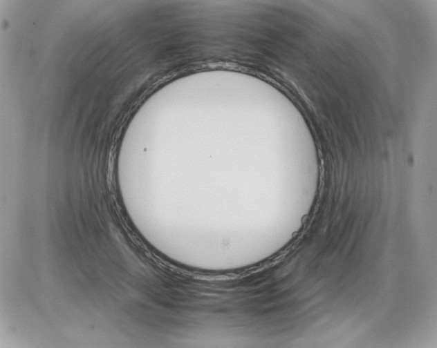 X0000085840643200704132104