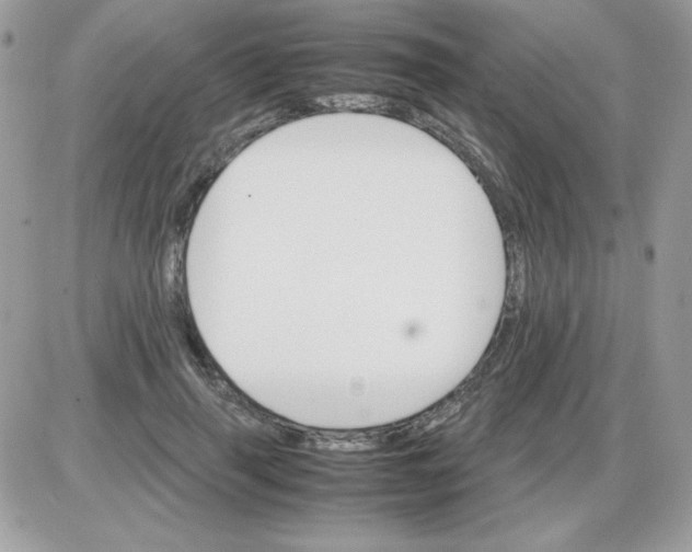 X0000085840645200704132104