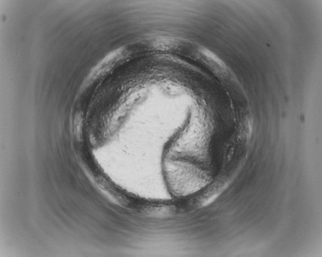 X0000085840646200704132104