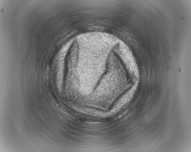 X0000085840649200704132104