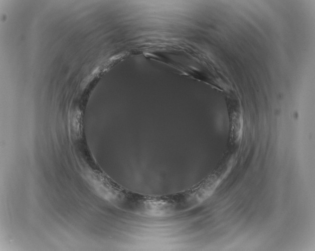 X0000085840650200704132104