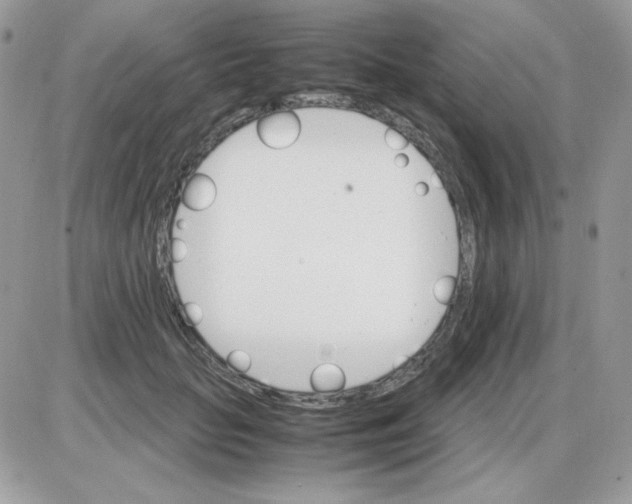 X0000085840653200704132105