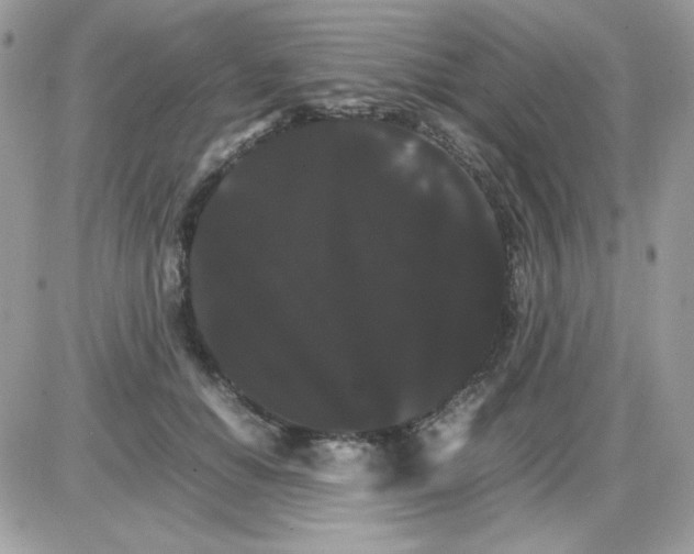 X0000085840654200704132105