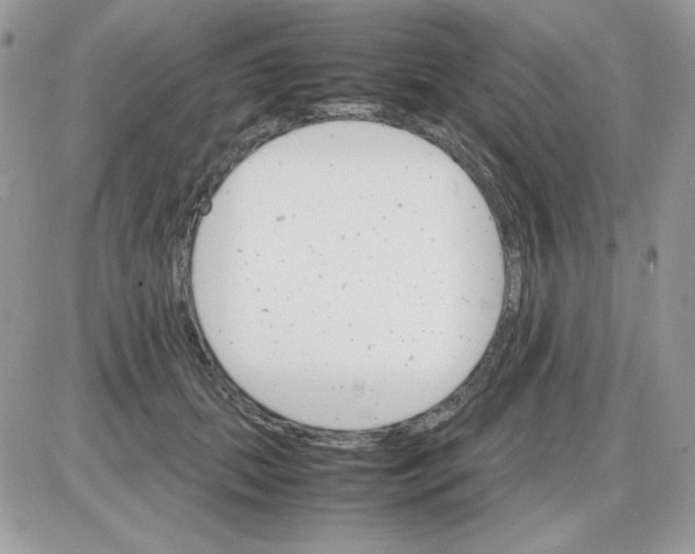 X0000085840655200704132105