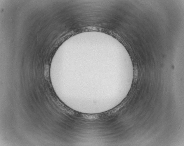 X0000085840656200704132105