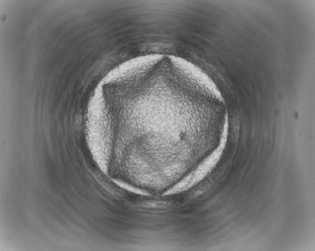 X0000085840657200704132105