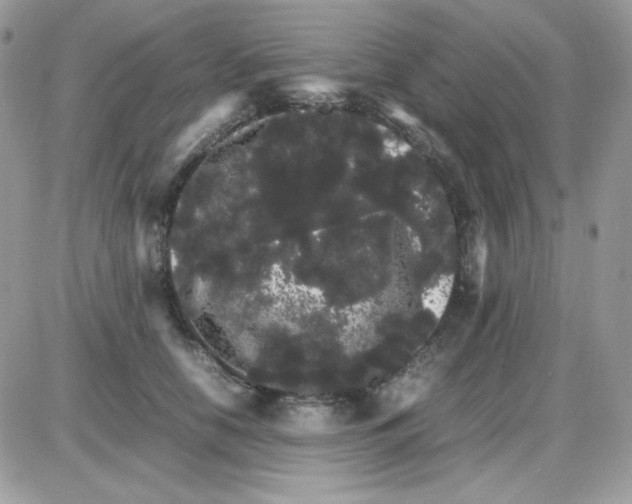 X0000085840658200704132105