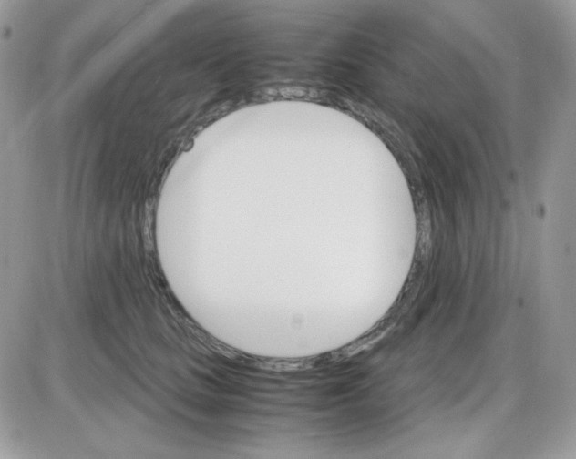 X0000085840661200704132105