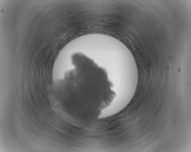 X0000085840663200704132105