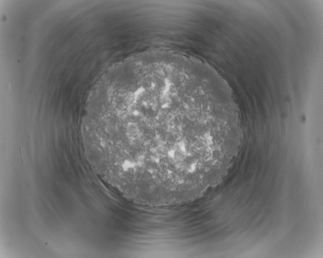 X0000085840664200704132105