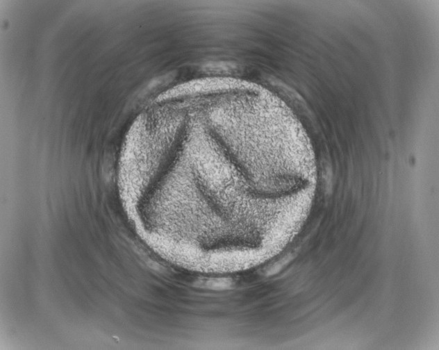 X0000085840665200704132105