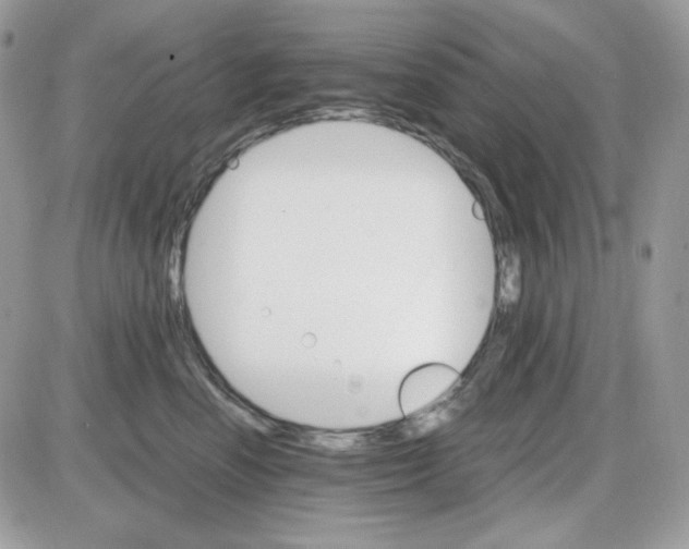 X0000085840666200704132105