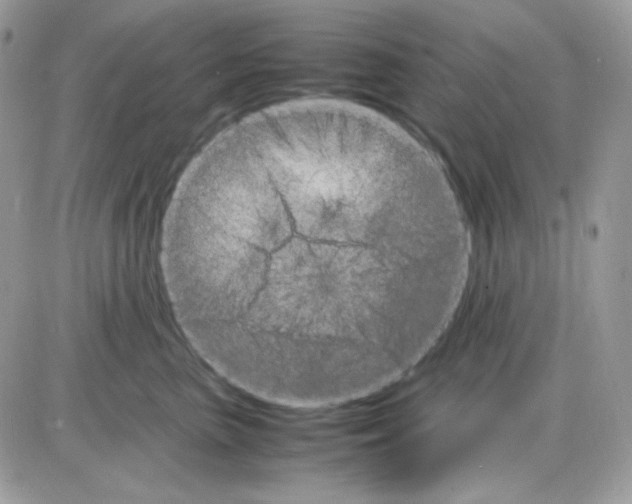 X0000085840667200704132105