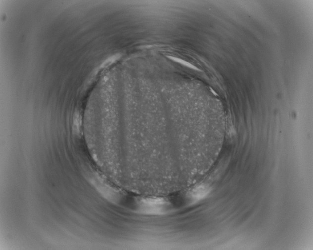 X0000085840669200704132105