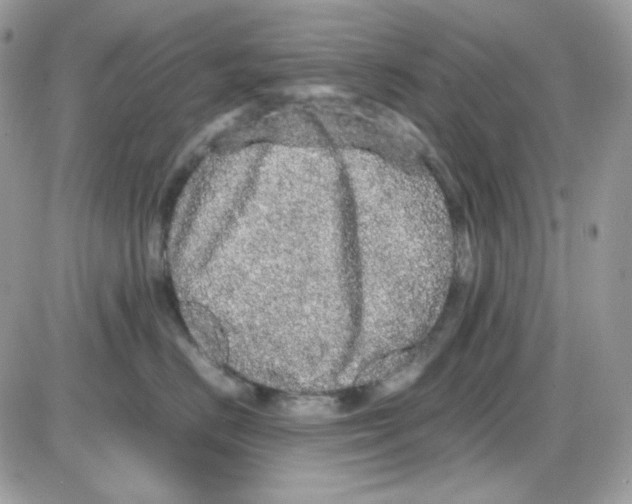 X0000085840670200704132105