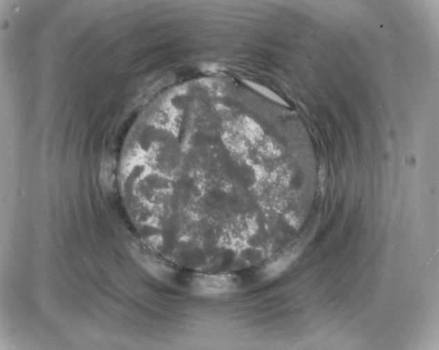 X0000085840671200704132105