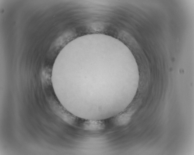 X0000085840672200704132105