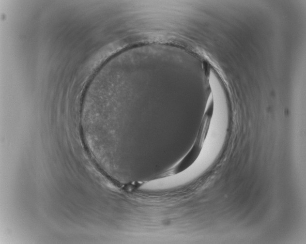 X0000085840673200704132104