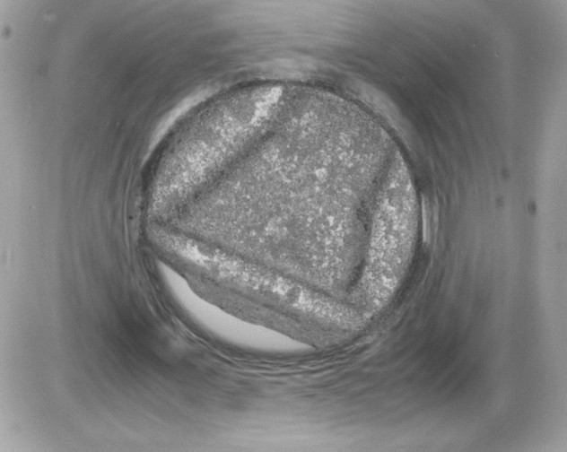 X0000085840675200704132104