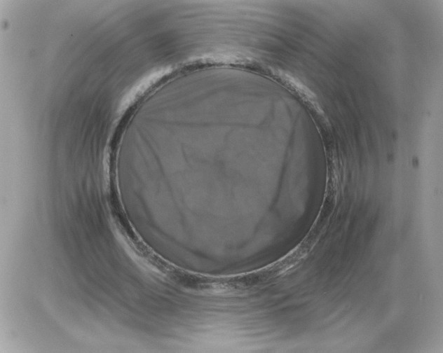 X0000085840678200704132104