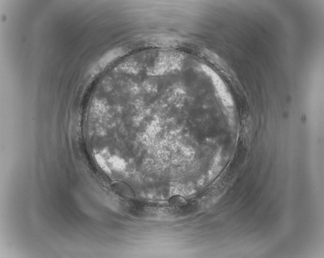 X0000085840679200704132104