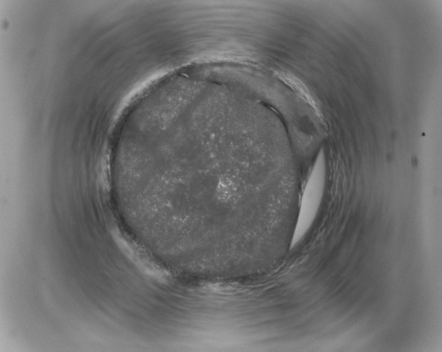 X0000085840680200704132104