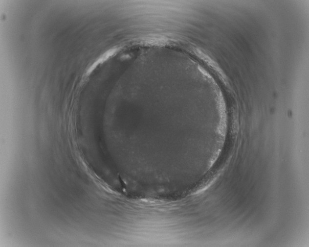 X0000085840681200704132104