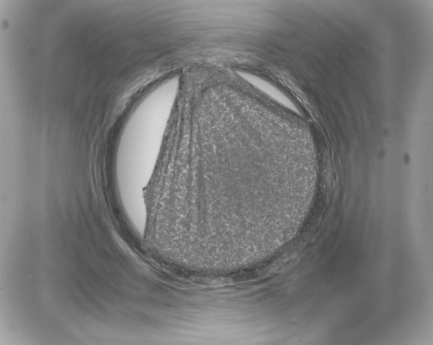 X0000085840683200704132104