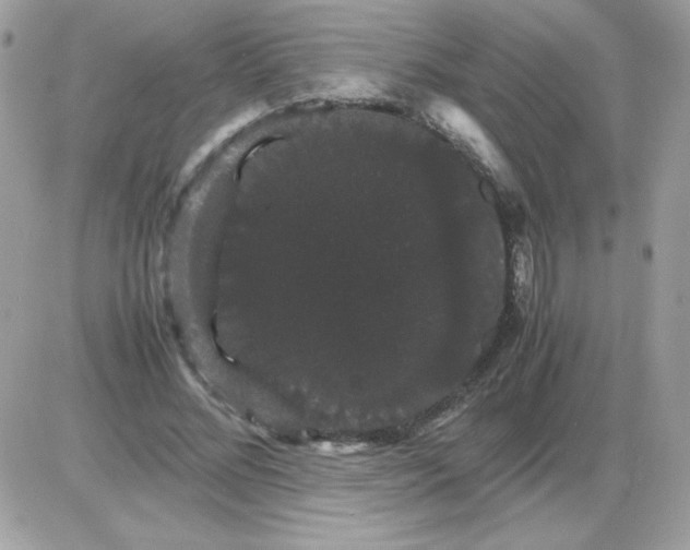 X0000085840684200704132104