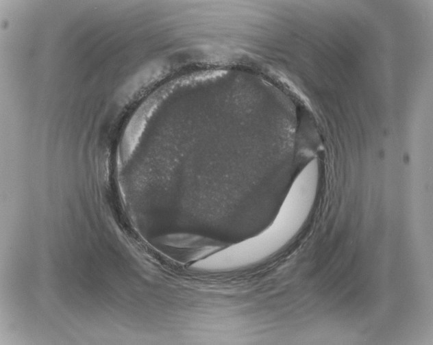 X0000085840685200704132104