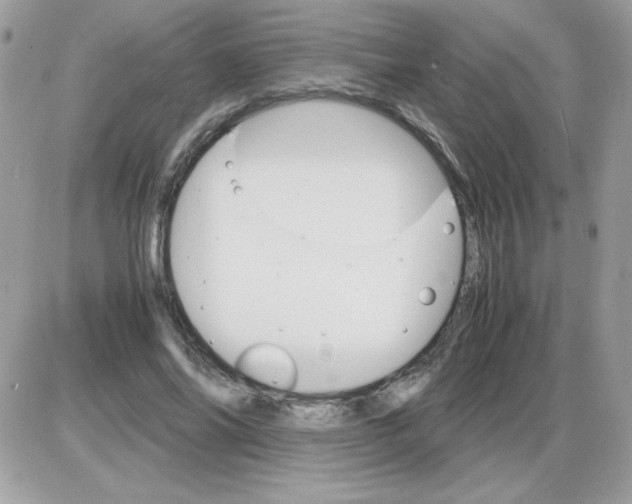 X0000085840686200704132104