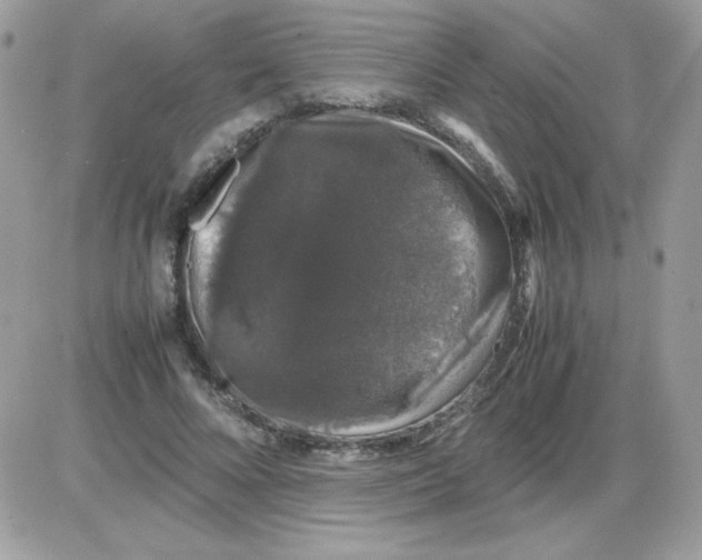 X0000085840688200704132104