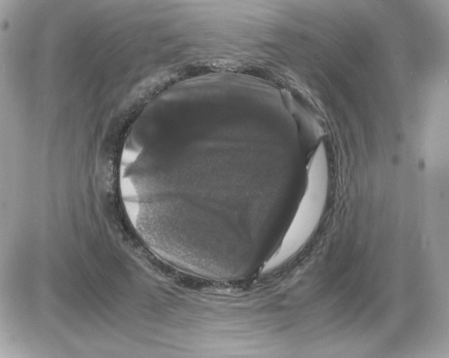 X0000085840689200704132104