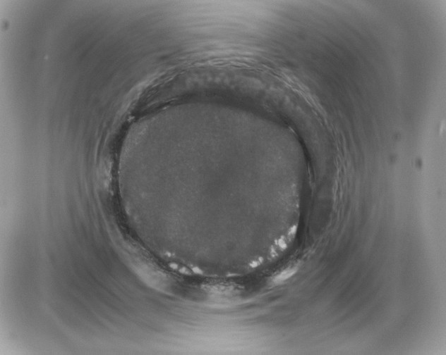 X0000085840693200704132104