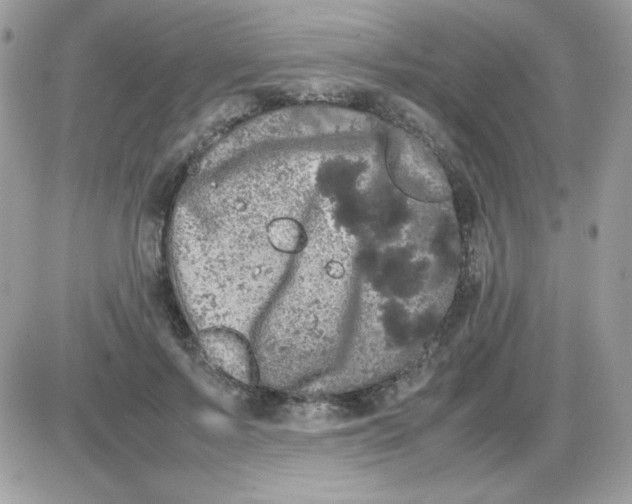 X0000085840695200704132104