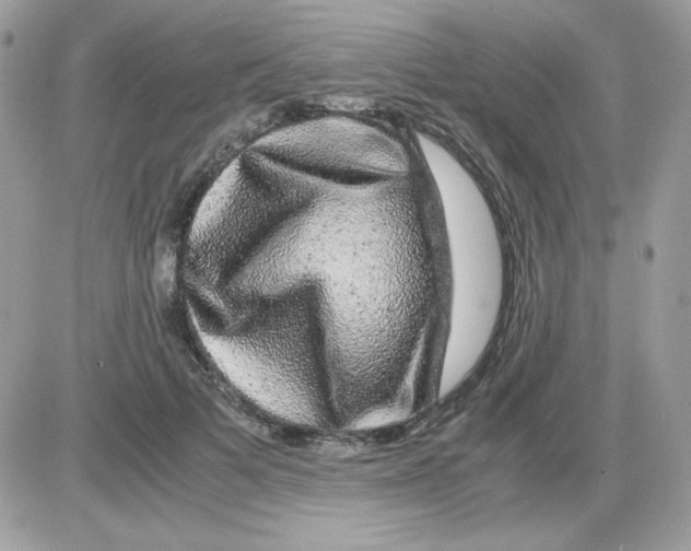 X0000085840697200704132104