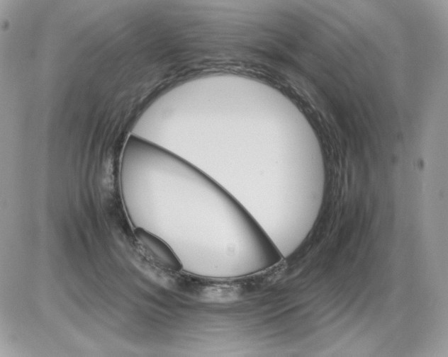 X0000085840700200704132104