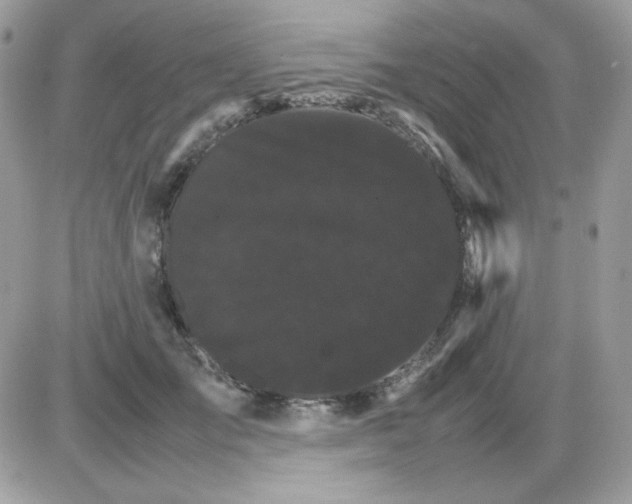 X0000085840701200704132104