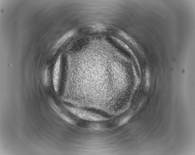 X0000085840704200704132104